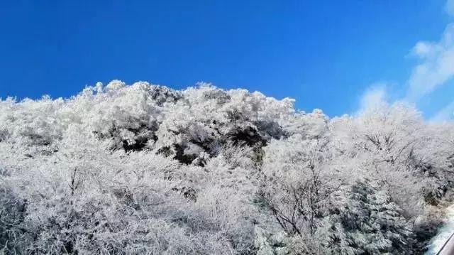 全球经济逆风影响超出地缘局势,原油市场压力山大