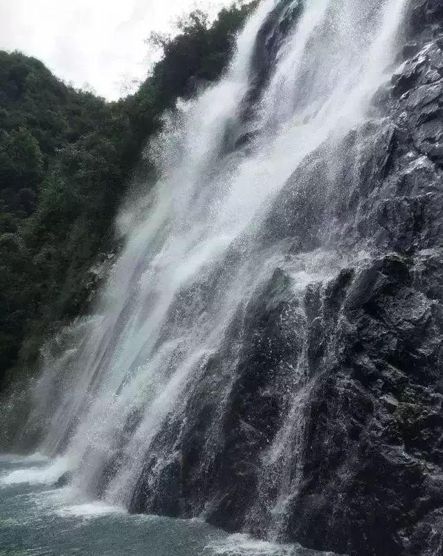 保护僵尸火种